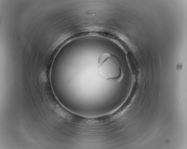 X0000091971209200709061324