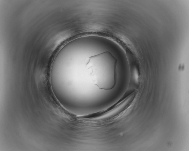 X0000091971210200709061324