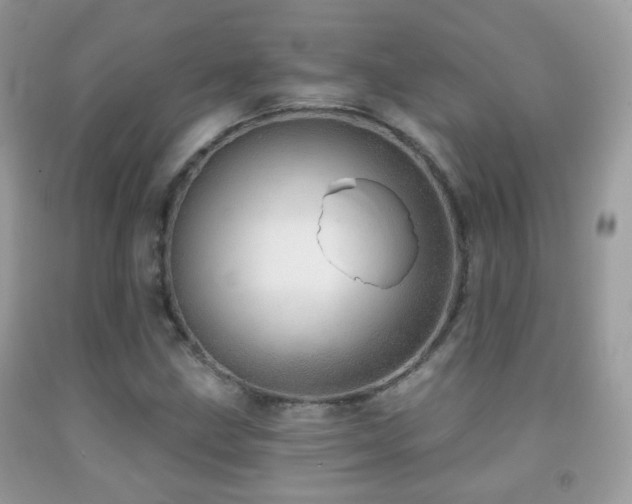 X0000091971211200709061324