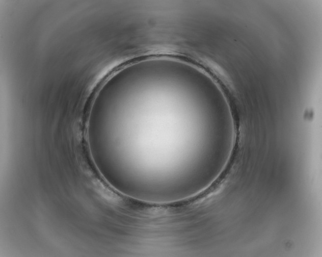 X0000091971212200709061324