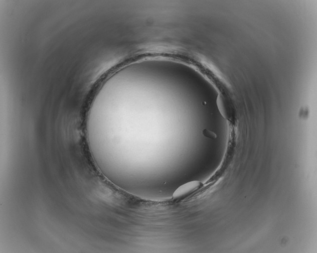 X0000091971213200709061324