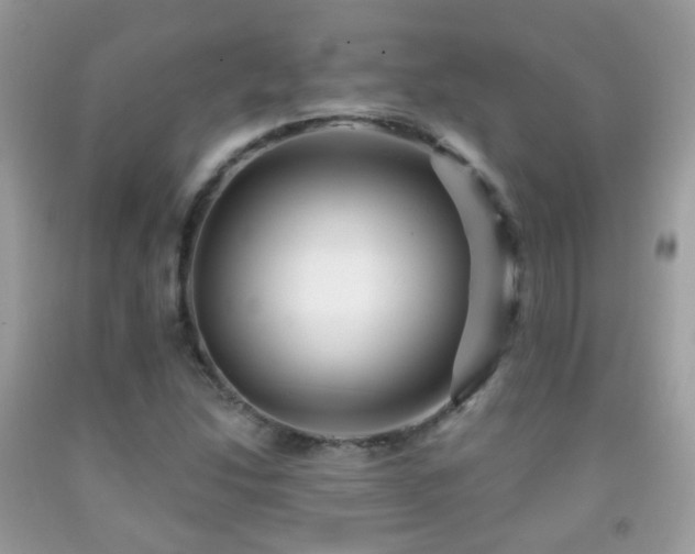 X0000091971214200709061324