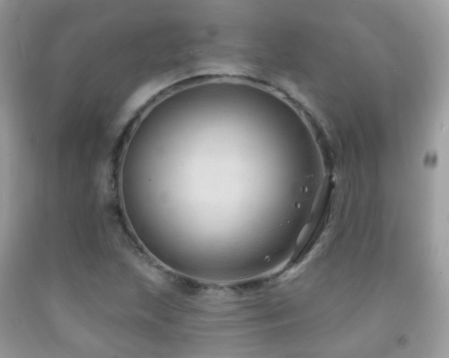 X0000091971215200709061324