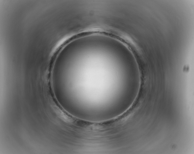 X0000091971216200709061324