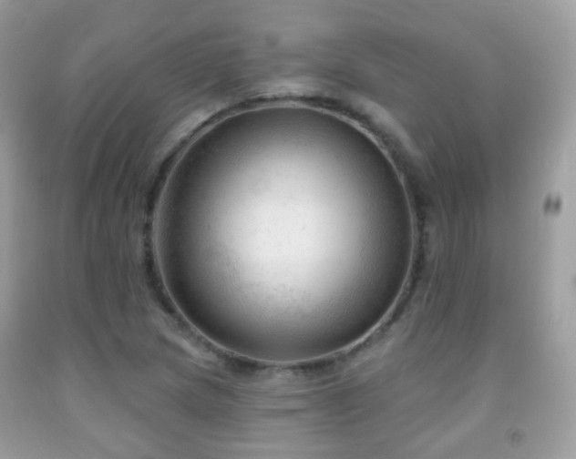 X0000091971217200709061324