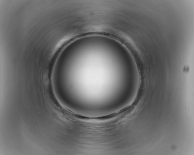 X0000091971218200709061324