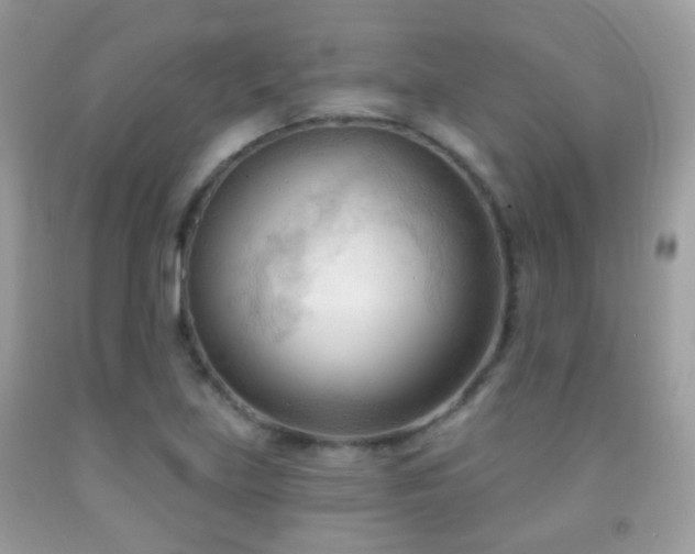 X0000091971219200709061324