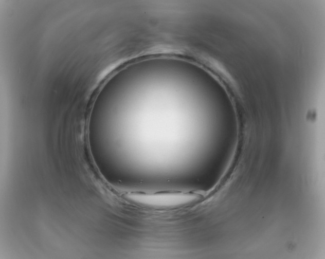 X0000091971220200709061324