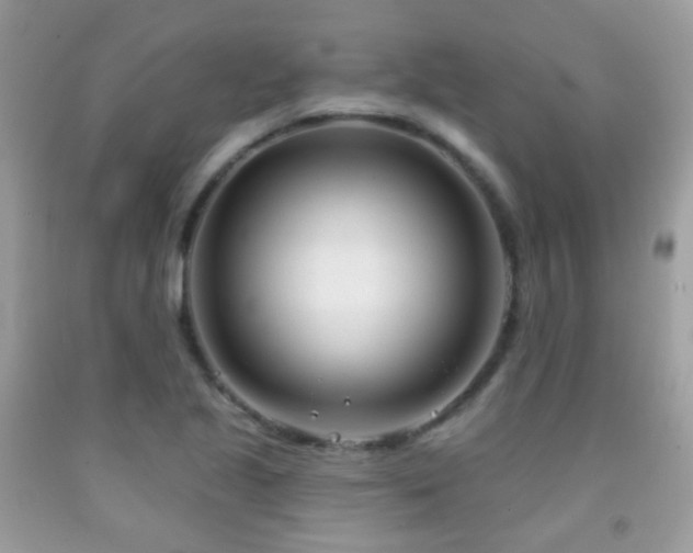 X0000091971221200709061324