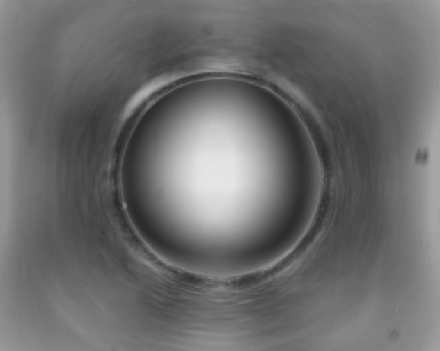 X0000091971222200709061324