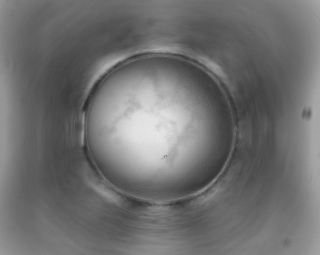 X0000091971223200709061324