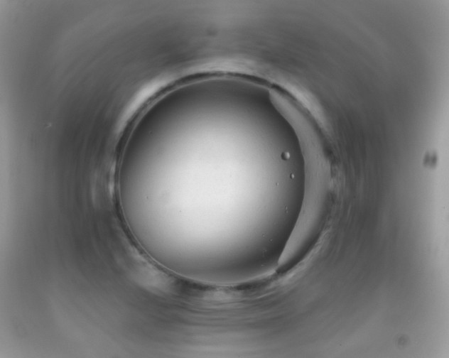 X0000091971224200709061324