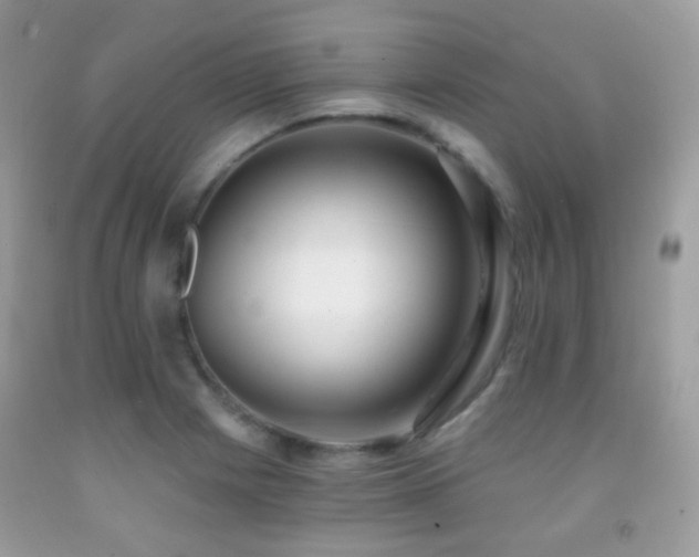 X0000091971225200709061324