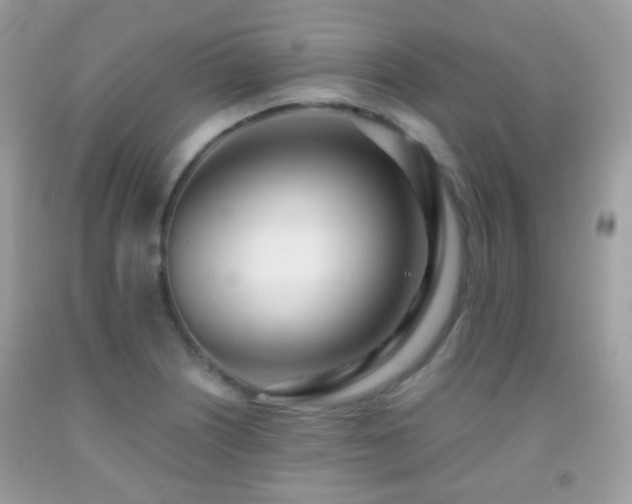X0000091971226200709061324