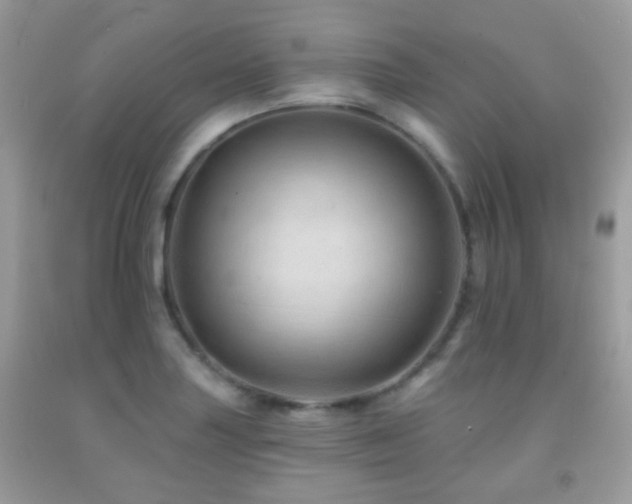 X0000091971227200709061324