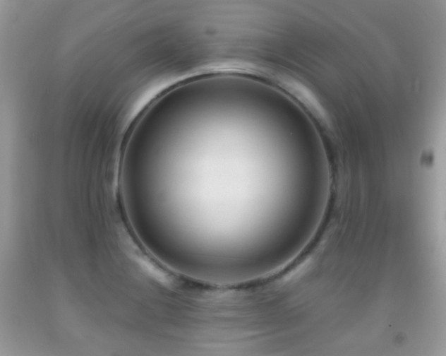 X0000091971228200709061324