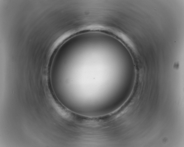 X0000091971229200709061324