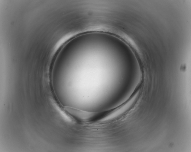 X0000091971230200709061324