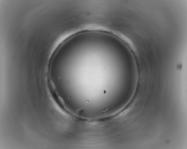 X0000091971231200709061324