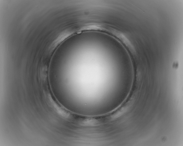 X0000091971233200709061324