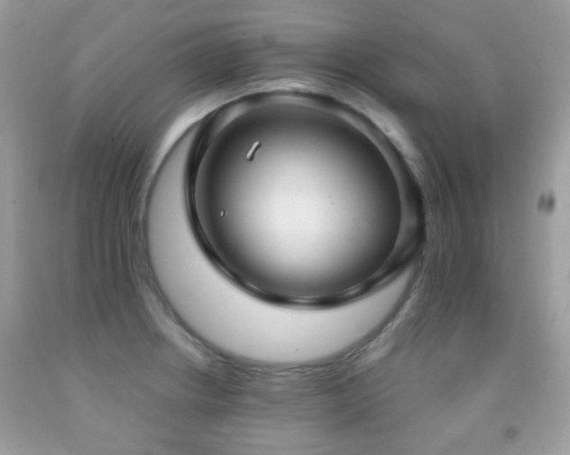 X0000091971234200709061324