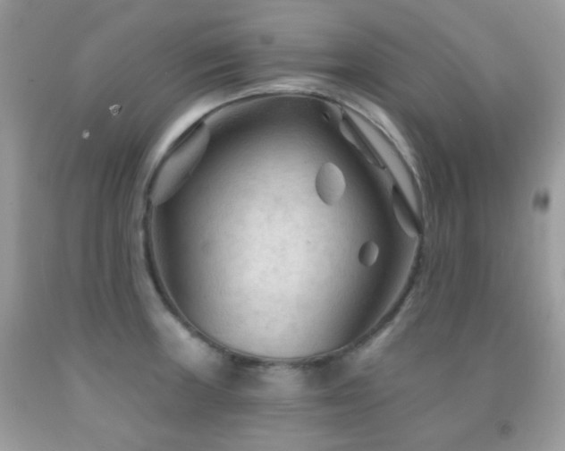X0000091971235200709061324