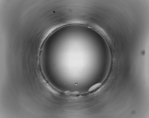 X0000091971236200709061324