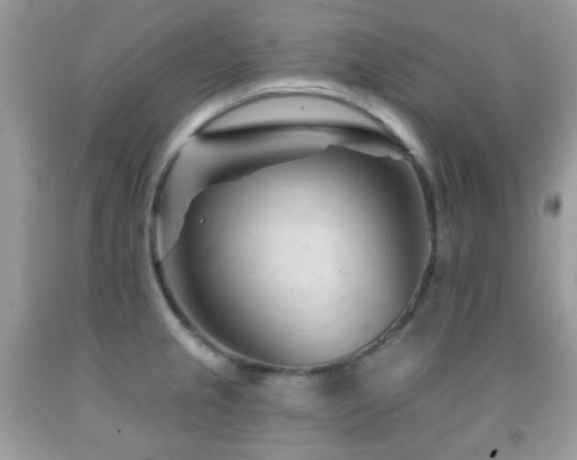 X0000091971237200709061325