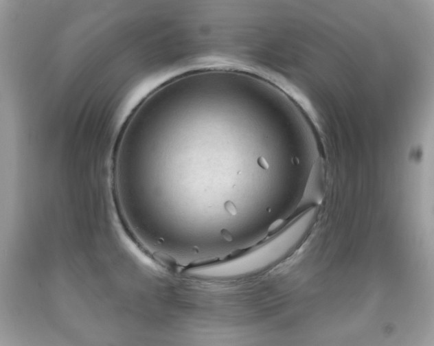 X0000091971239200709061325