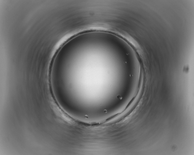X0000091971240200709061325