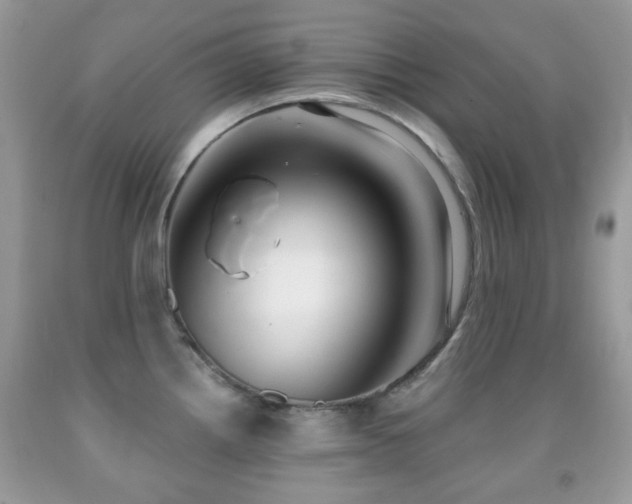 X0000091971242200709061325