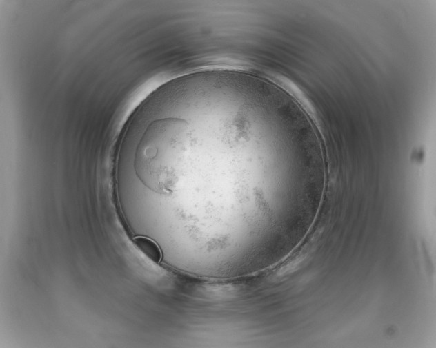 X0000091971243200709061325