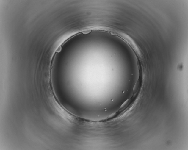X0000091971244200709061325