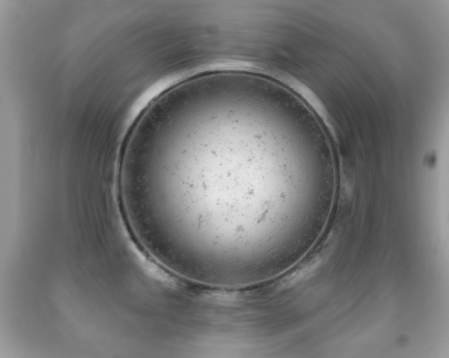 X0000091971245200709061325