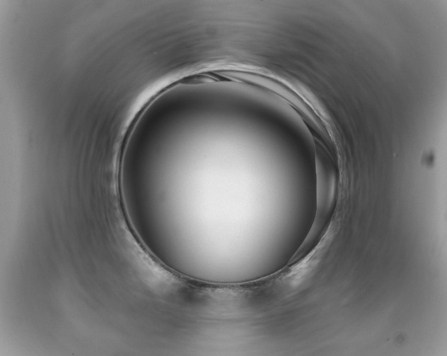 X0000091971246200709061325