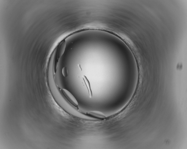 X0000091971248200709061325