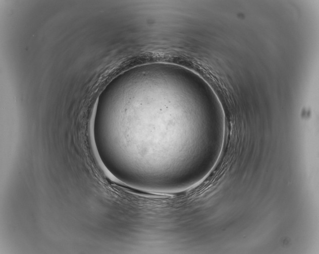 X0000091971249200709061324