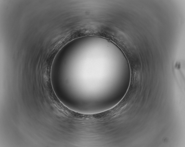X0000091971250200709061324