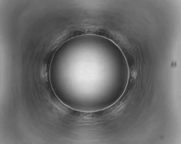 X0000091971252200709061324