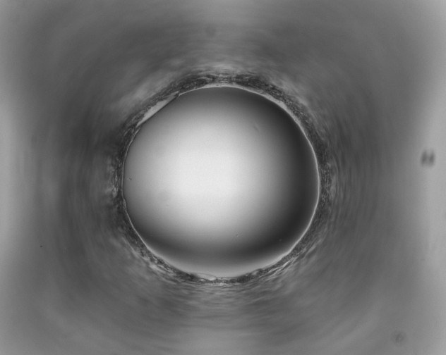 X0000091971253200709061324