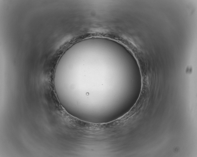 X0000091971254200709061324