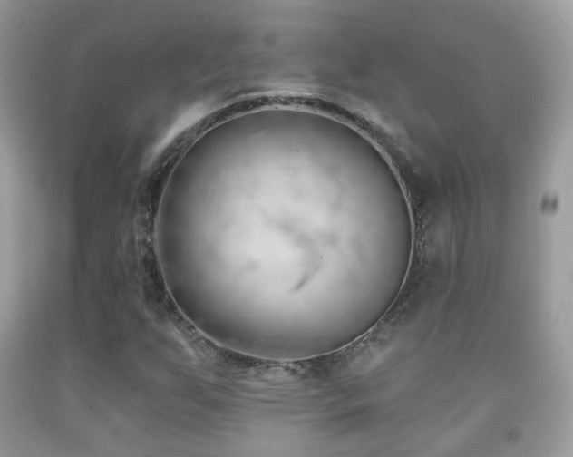 X0000091971255200709061324