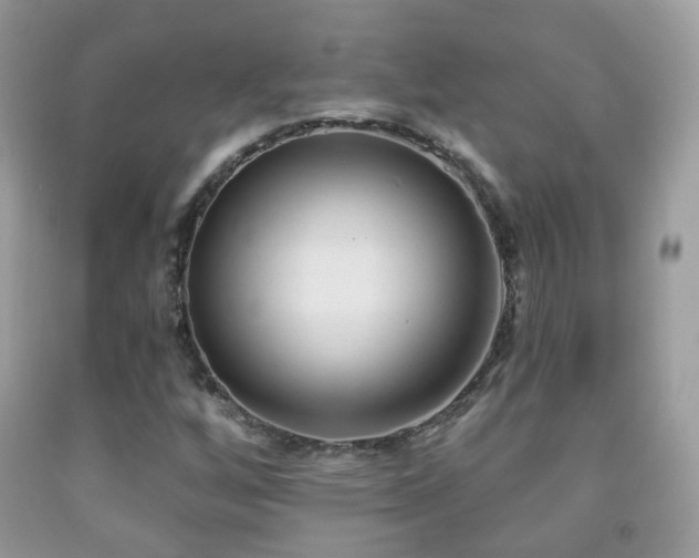 X0000091971256200709061324