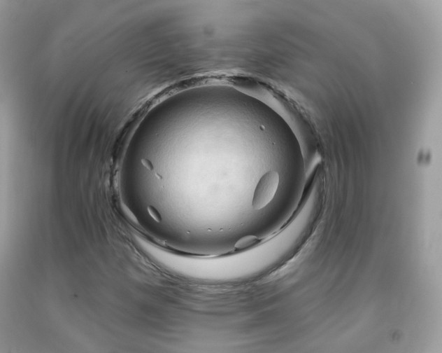 X0000091971257200709061324