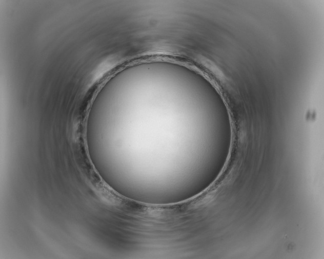 X0000091971258200709061324