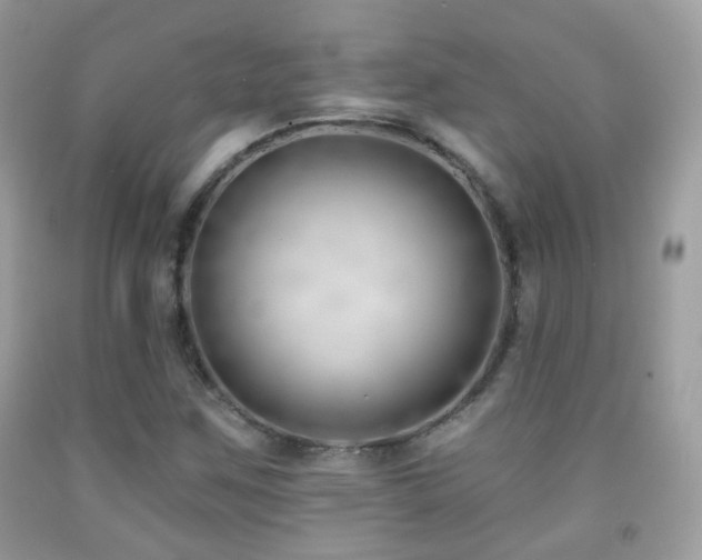 X0000091971259200709061324
