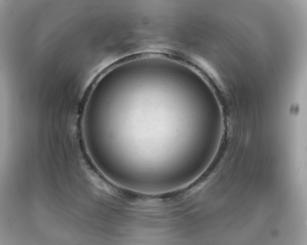 X0000091971260200709061324