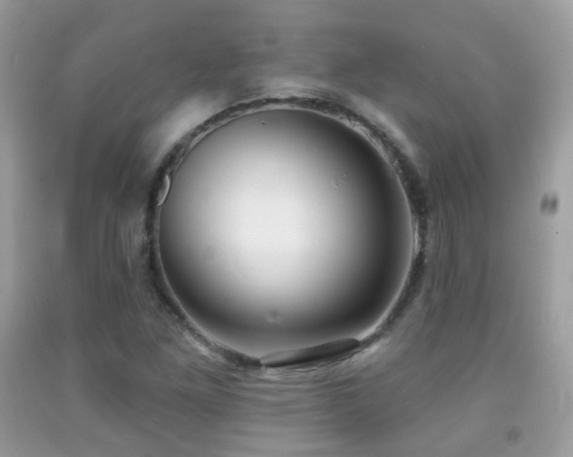 X0000091971261200709061324