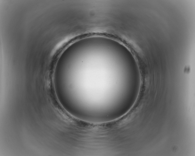 X0000091971262200709061324