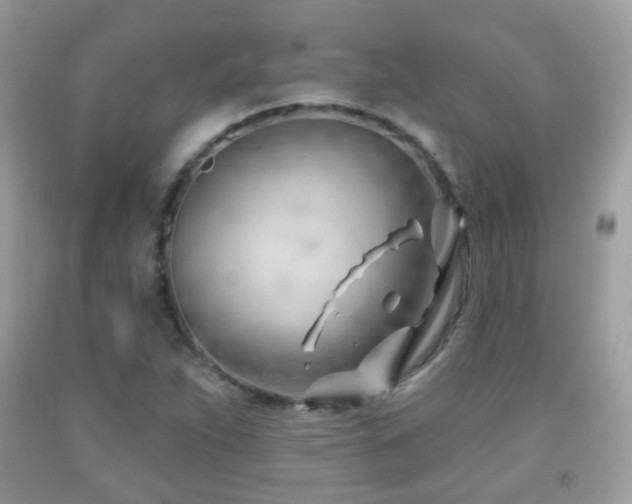 X0000091971263200709061324